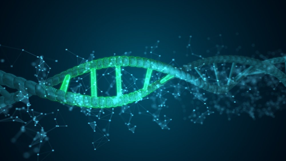 DNA Methylation Patterns Trace Blood Aging Dynamics