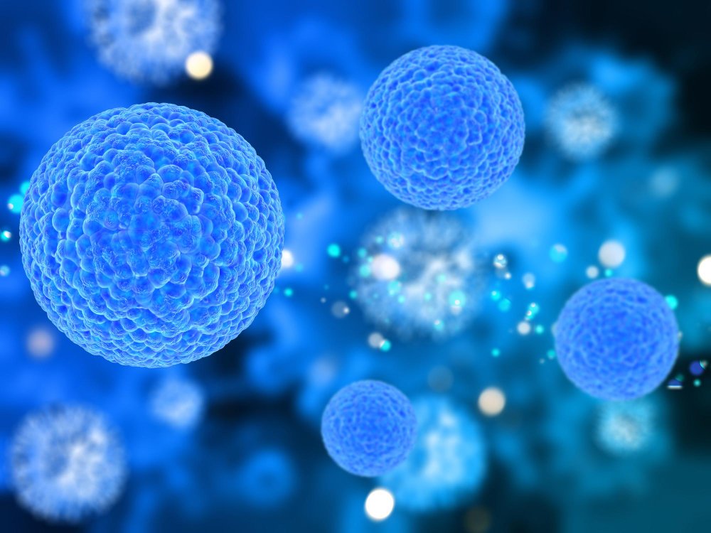 New Insights Into How Neural Stem Cells Age